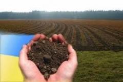 Порушення орендарем строків завершення забудови земельної ділянки є підставою для одностороннього розірвання договору земельної ділянк