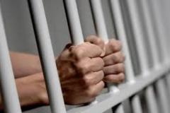 Склад злочину, передбаченого ст. 156 КК України не передбачає такої ознаки як здійснення статевого акту з потерпілим